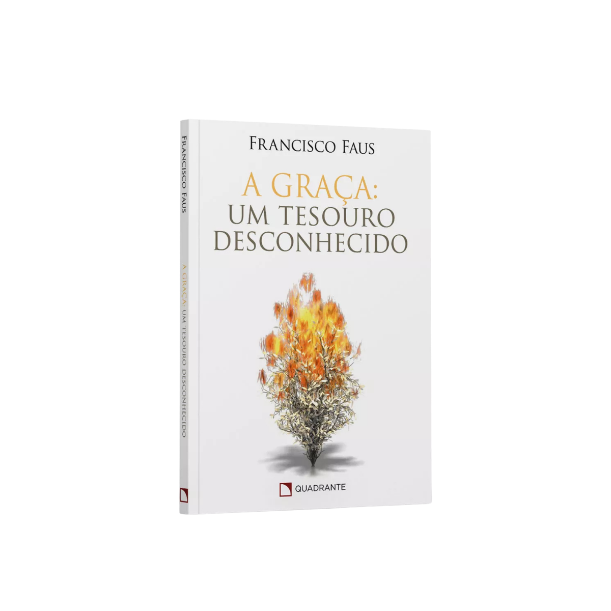 A Graça: Um Tesouro Desconhecido - Francisco Faus