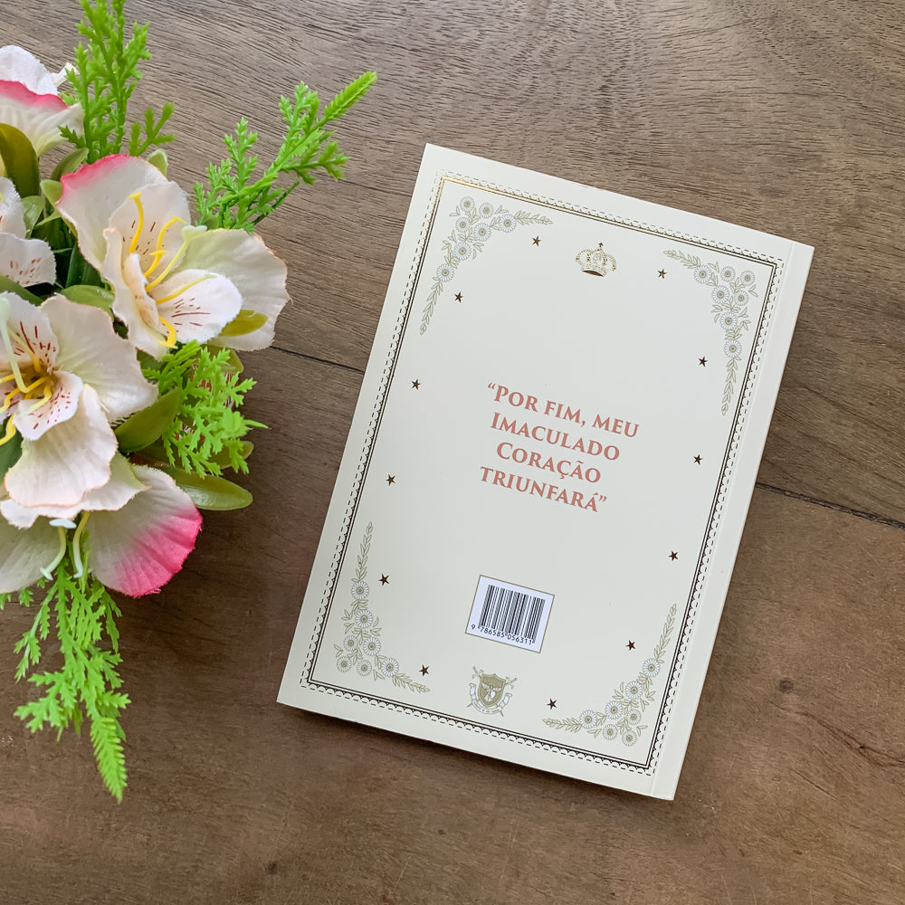 Caminhando Com Maria Meditações Marianas Hesed