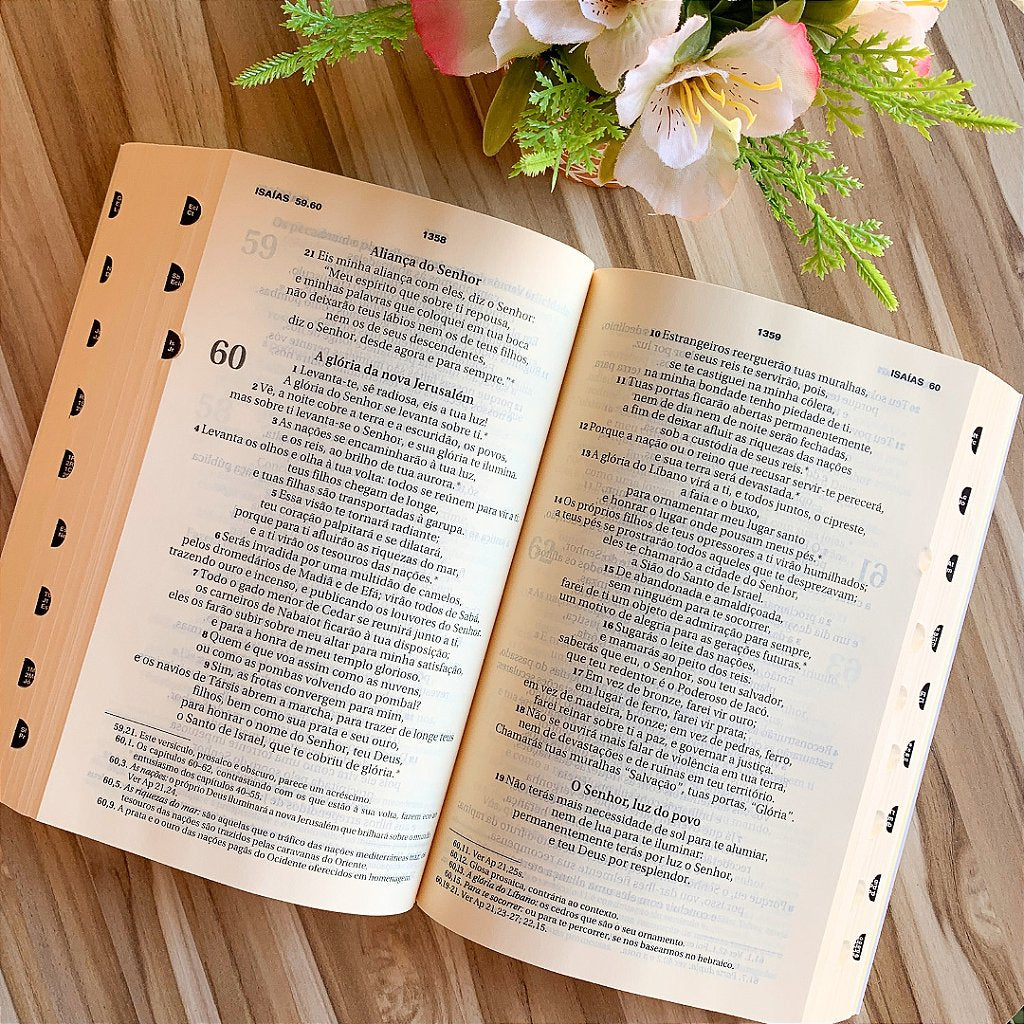 Bíblia Sagrada Ave-Maria Letra Maior Brochura