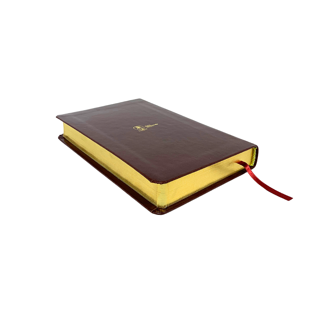 Diário de Santa Faustina - Capa Couro