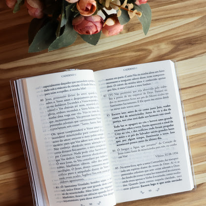 Diário de Santa Faustina (Capa Cristal)