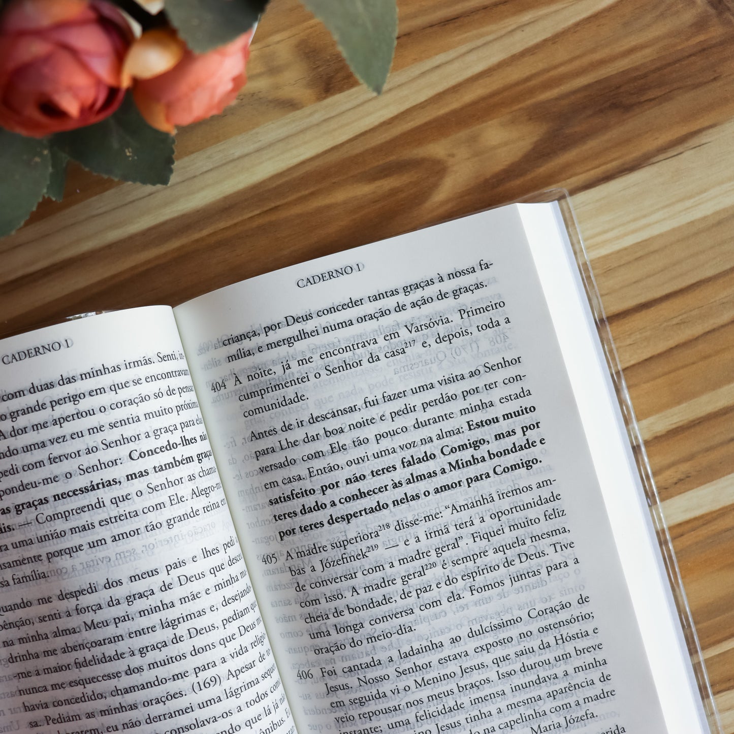 Diário de Santa Faustina (Capa Cristal)