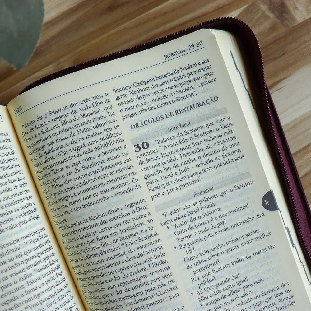 Bíblia Sagrada Tradução Oficial da CNBB  Capa  Zíper  Hesed