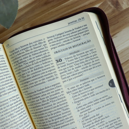 Bíblia Sagrada Tradução Oficial da CNBB  Capa  Zíper  Hesed