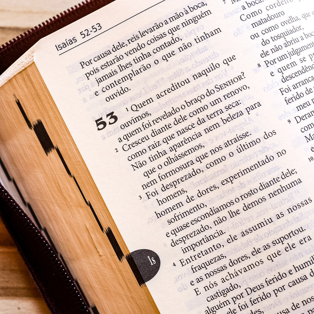 Bíblia Sagrada Tradução Oficial da CNBB  Capa  Zíper  Hesed