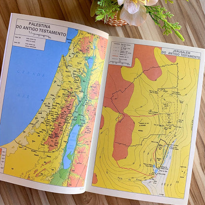 Bíblia de Jerusalém Capa Cristal