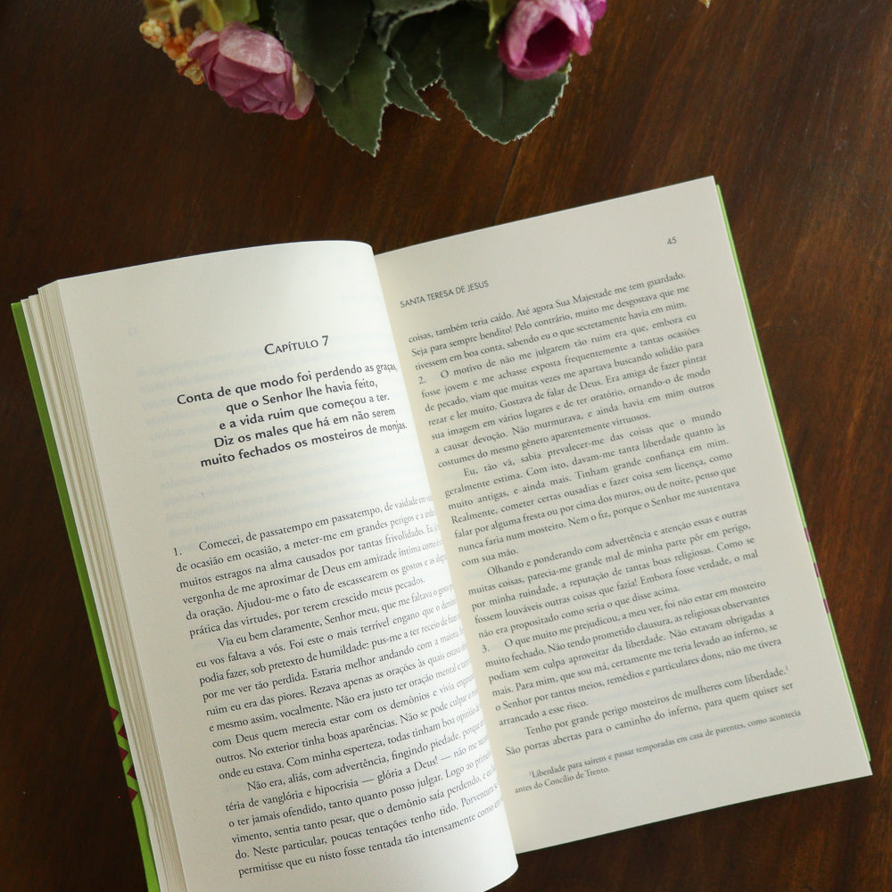 Livro da Vida - Santa Teresa de Jesus