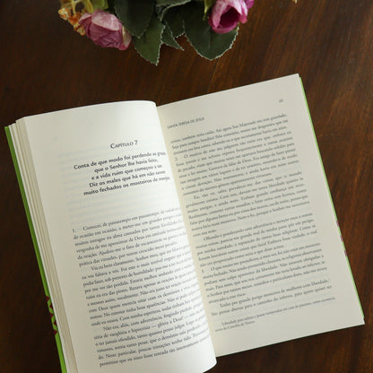 Livro da Vida - Santa Teresa de Jesus