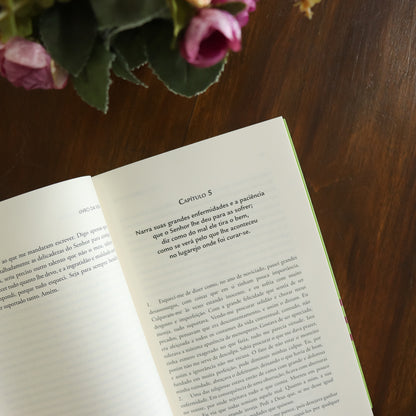 Livro da Vida - Santa Teresa de Jesus