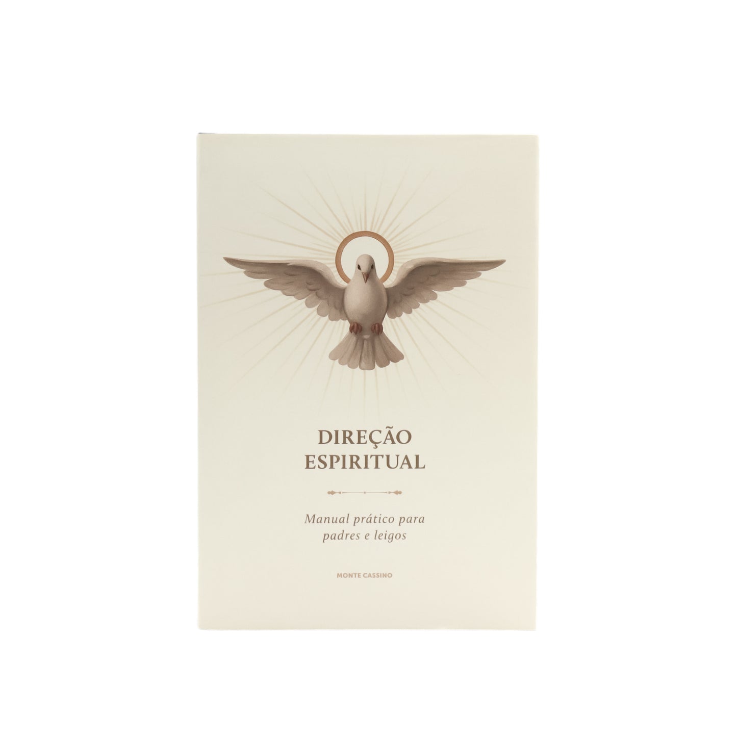 Direção Espiritual - Manual prático para padres e leigos
