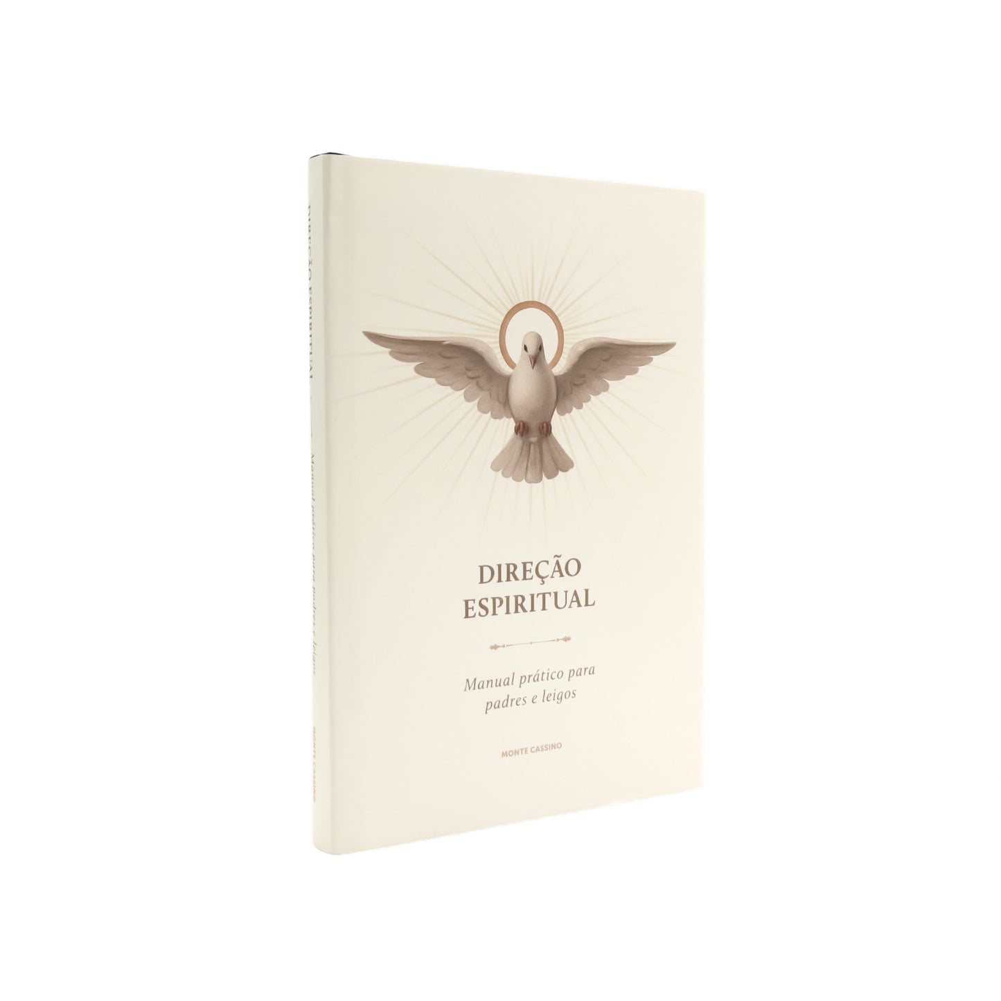 Direção Espiritual - Manual prático para padres e leigos