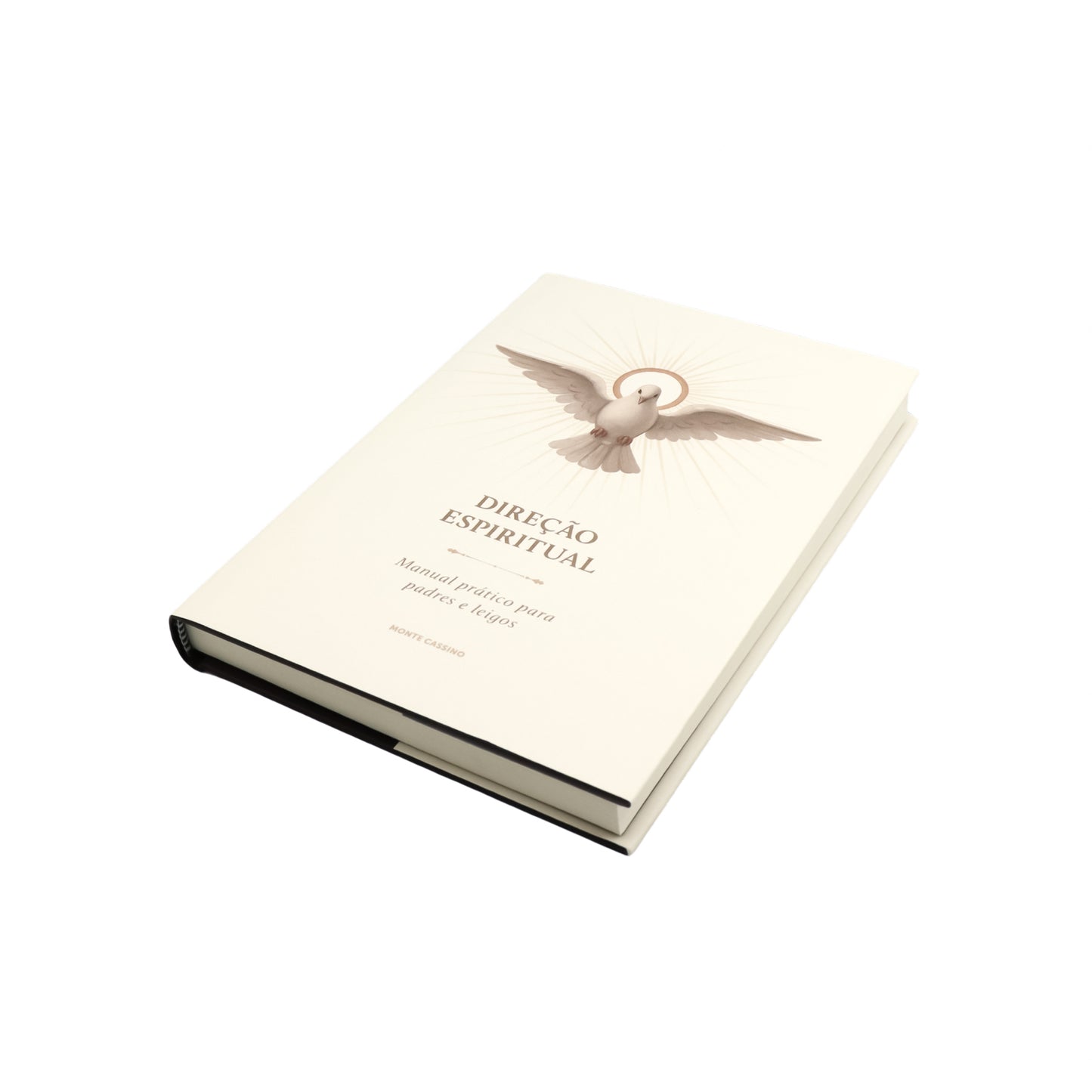 Direção Espiritual - Manual prático para padres e leigos