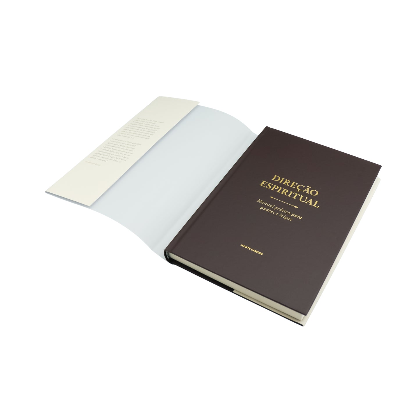 Direção Espiritual - Manual prático para padres e leigos