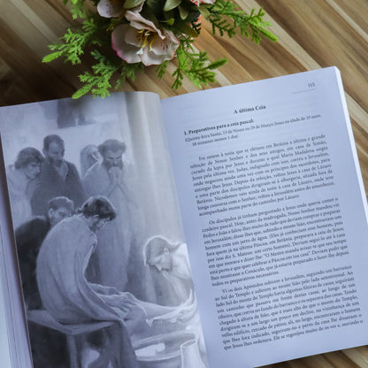 Vida, Paixão e Glorificação do Cordeiro de Deus - Anna Catharina Emmerich