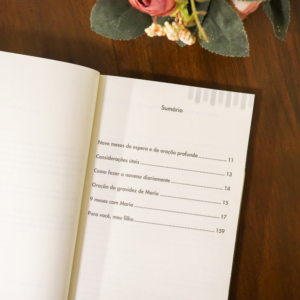 9 Meses com Maria