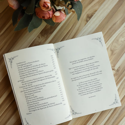 Caminhando Com Maria Meditações Marianas Hesed