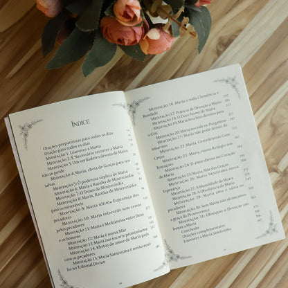 Caminhando Com Maria Meditações Marianas Hesed