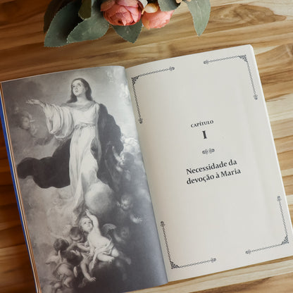 Tratado da Verdadeira Devoção à Santíssima Virgem - Hesed