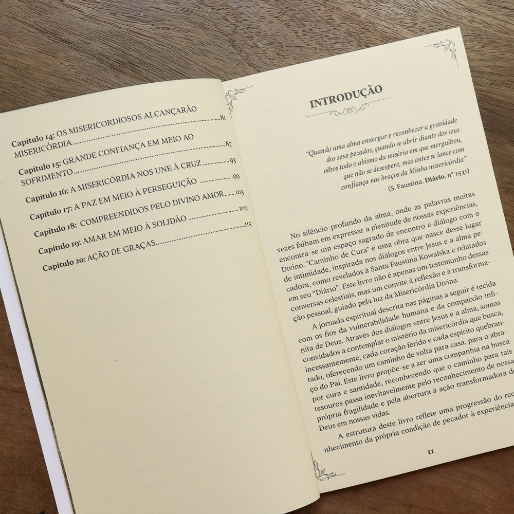 Caminho de Cura Pela Divina Misericórdia - Instituto Hesed