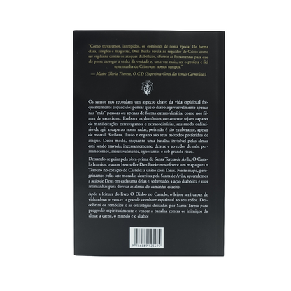 O Diabo no Castelo - Santa Teresa de Ávila e o combate espiritual