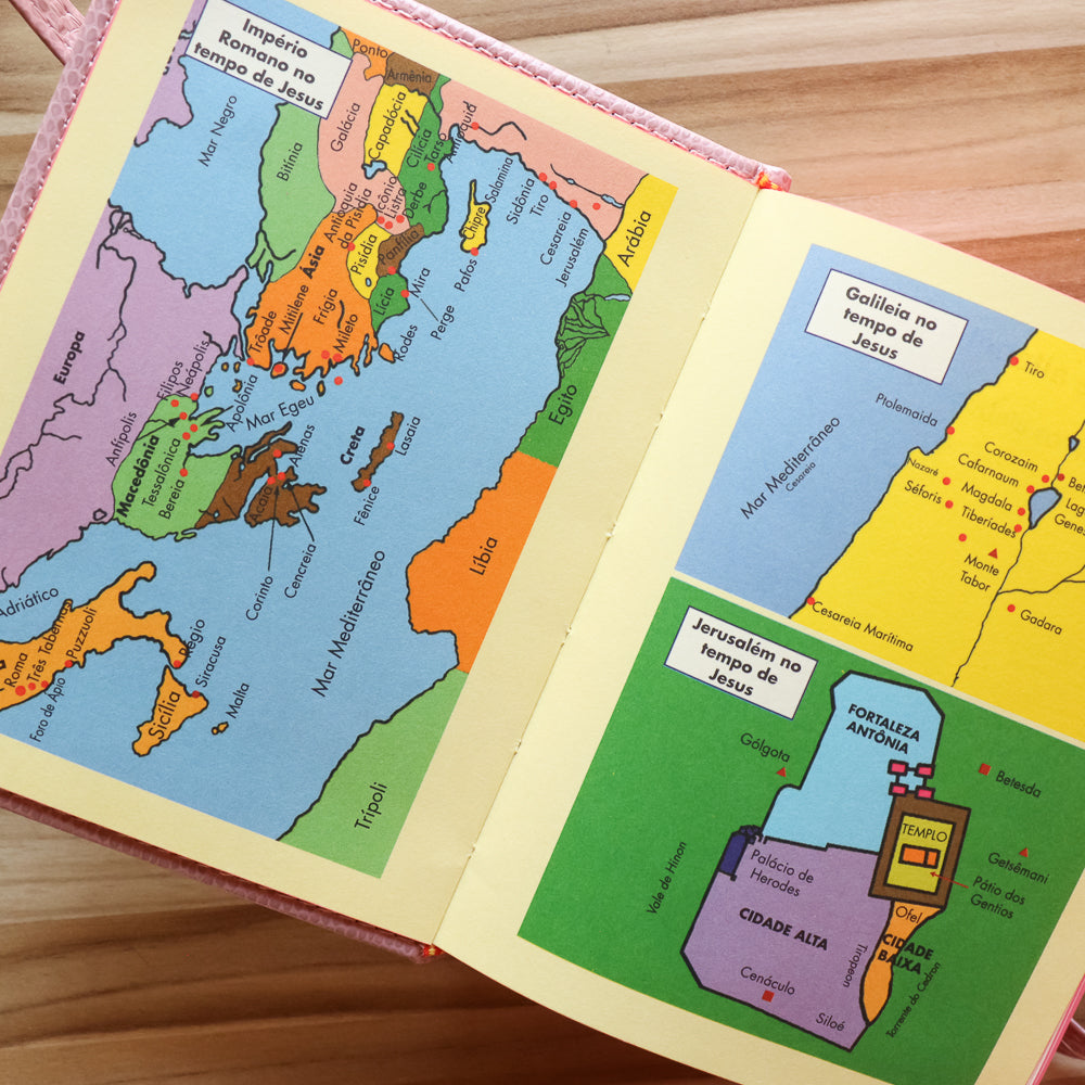 Bíblia Ave-Maria com Alça Bolso Rosa