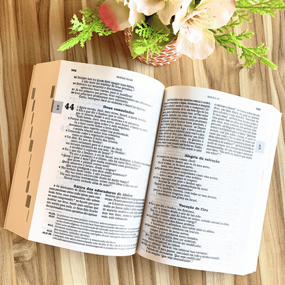 Bíblia Sagrada Ave-Maria Capa Símbolos