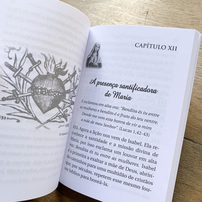 Imitação de Maria - Pe. Luís Erlin