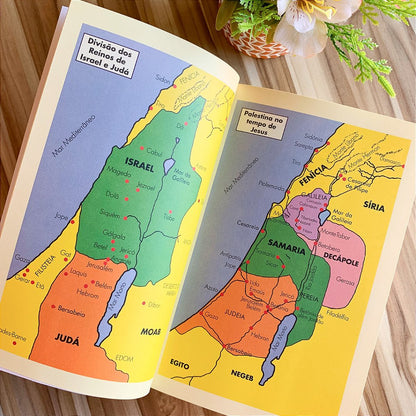 Bíblia Sagrada Ave-Maria Letra Maior Brochura