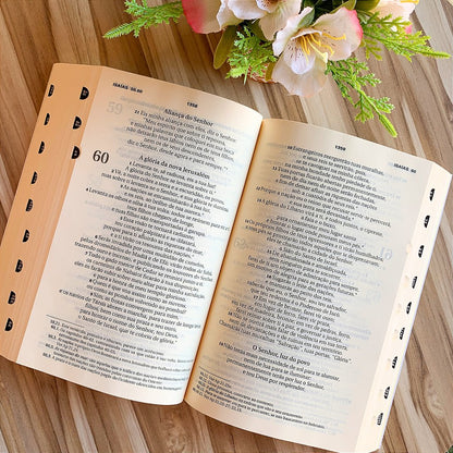 Bíblia Sagrada Ave-Maria Letra Maior Brochura